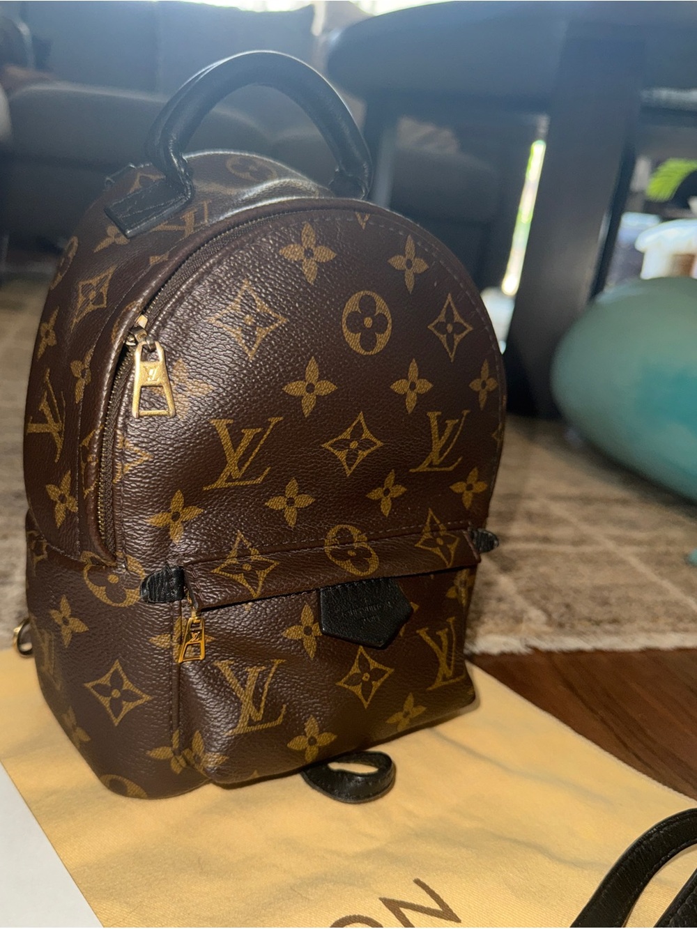 Louis Vuitton Palm Springs Mini Monogram Canvas Backpack